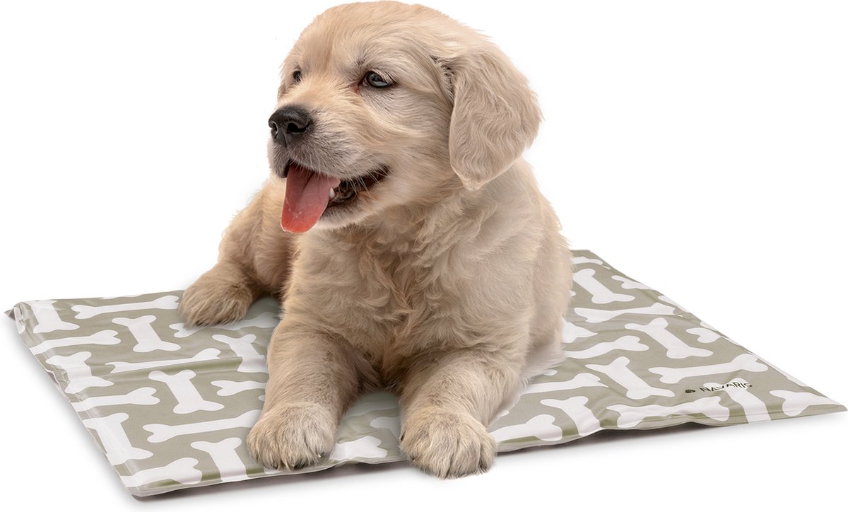 De top 10 beste koelmat voor honden - Bekijk goede koelmat voor honden