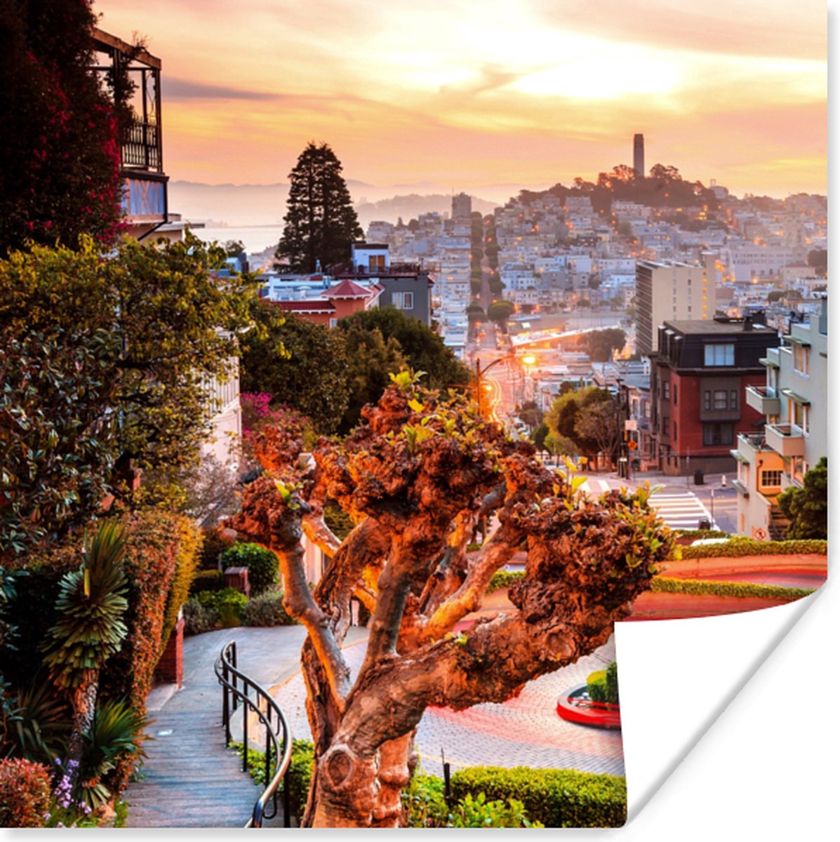 Poster Stad - Tuin - Licht - 50x50 cm