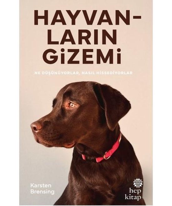 Foto: Hayvanlar n gizemi