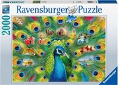 Puzzel 2000 st. Land of the Peacock