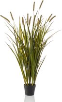 Kunstplant Grass Cattails - Polyester - Groen - 120 cm hoog