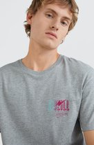 O'Neill T-Shirt STORM - Grijs - Xs