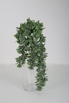 Hangplant Hangend Groen - topkwaliteit decoratie - Groen - zijden tak - 74 cm hoog
