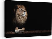 Artaza - Canvas Schilderij - Leeuw in het Donker op een Boomstronk - 60x40 - Foto Op Canvas - Canvas Print