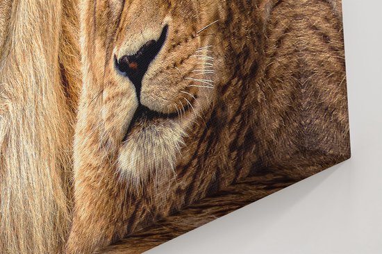 Artaza - Peinture sur Toile - Lion et Lionne - Couple Amoureux - 120x80 - Groot - Tableau sur Toile - Impression sur Toile