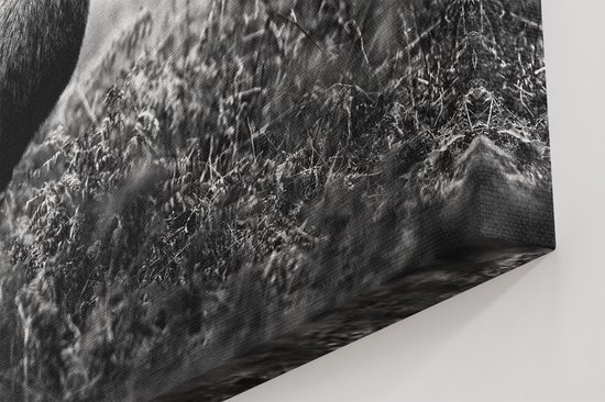 Artaza Peinture sur Toile Cerf dans la Forêt de Côté - Zwart Wit - 120x80 - Groot - Photo sur Toile - Impression sur Toile