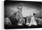 Artaza - Peinture sur Toile - Famille de Lions en Afrique - Lion - Zwart Wit - 30x20 - Klein - Photo sur Toile - Impression sur Toile
