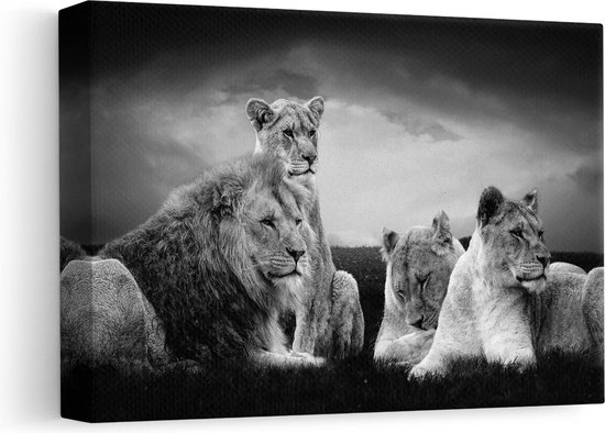 Artaza Canvas Schilderij Leeuwen Familie in Afrika - Leeuw - Zwart Wit - 30x20 - Klein - Foto Op Canvas - Canvas Print