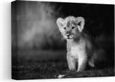Artaza Canvas Schilderij Schattige Leeuwen Welp - Baby Leeuw - Zwart Wit - 30x20 - Klein - Foto Op Canvas - Canvas Print