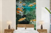 Behang - Fotobehang visjes in een aquarium - Breedte 120 cm x hoogte 240 cm