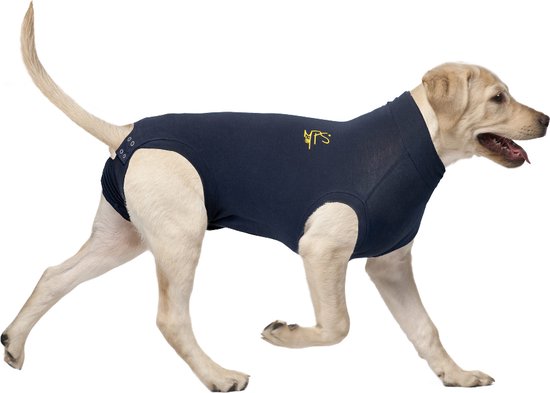 Medical Pet Shirt Hond - Blauw L - Medical Pet Shirt