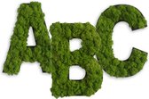 Stylegreen Alfabet letters A t/m Z - Reindeer moss - 25cm