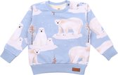 Polar Bear Family Truienen Truien & Vesten Bio-Kinderkleding