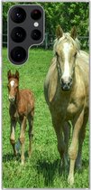 Geschikt voor Samsung Galaxy S22 Ultra hoesje - Paard - Veulen - Dieren - Siliconen Telefoonhoesje