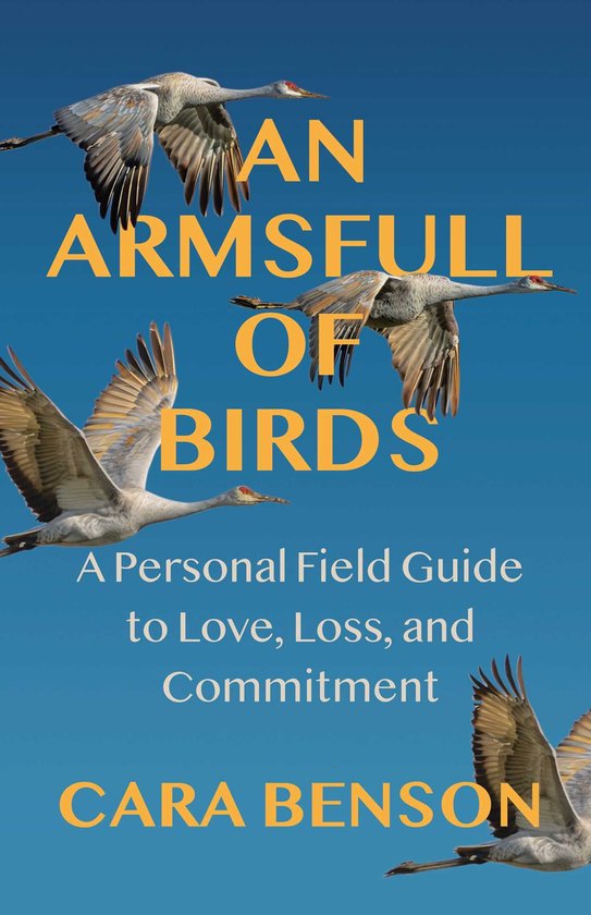 An Armsfull of Birds - cover