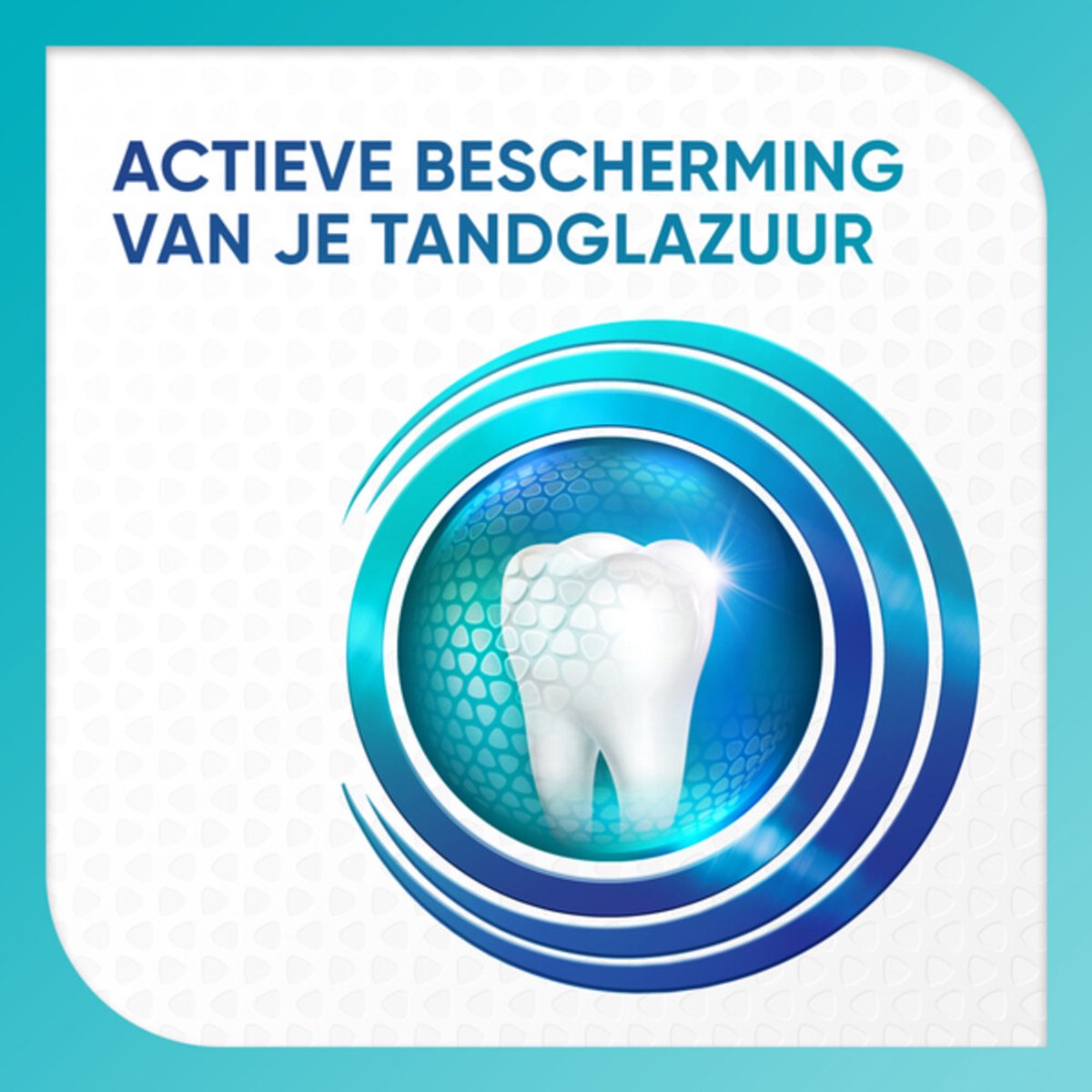 Sensodyne ProGlasur Tandpasta Active Shield Whitening 75 ml