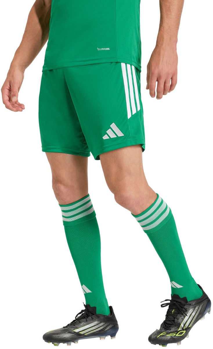 Herenshort adidas Tiro 26 League - Groen - XXL