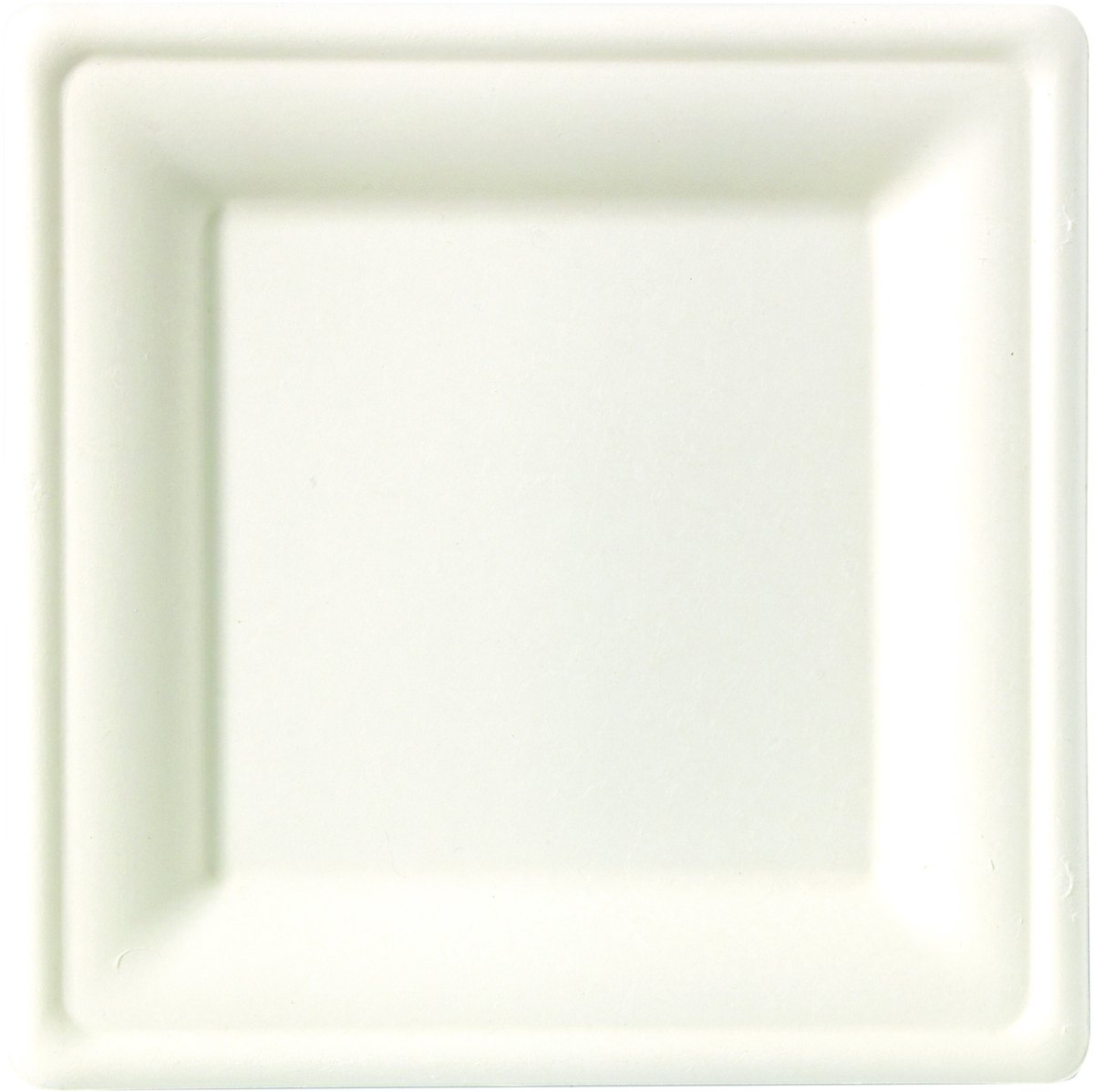 ISAP FRANCE - 25 Vierkante borden van suikerrietvezel 20 x 20 cm wit composteerbaar