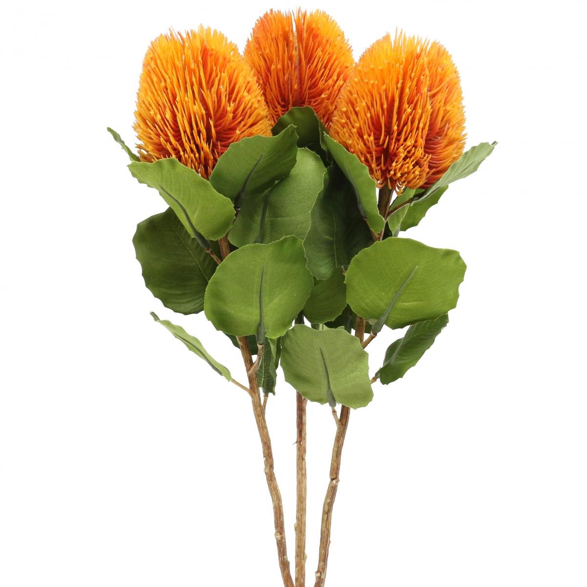 Viana Kunstbloemen, Banksia, Proteaceae Oranje L58cm H6cm 3 stuks