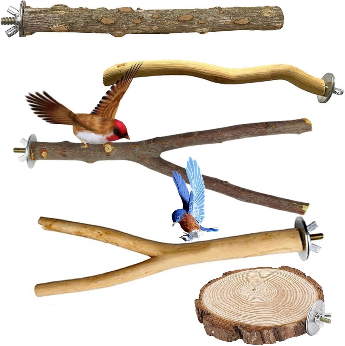 5 Stuks Natuurlijke Houten Zitstokken voor Vogelkooien - Papegaai Parkiet Speelgoed en Voetensteun
