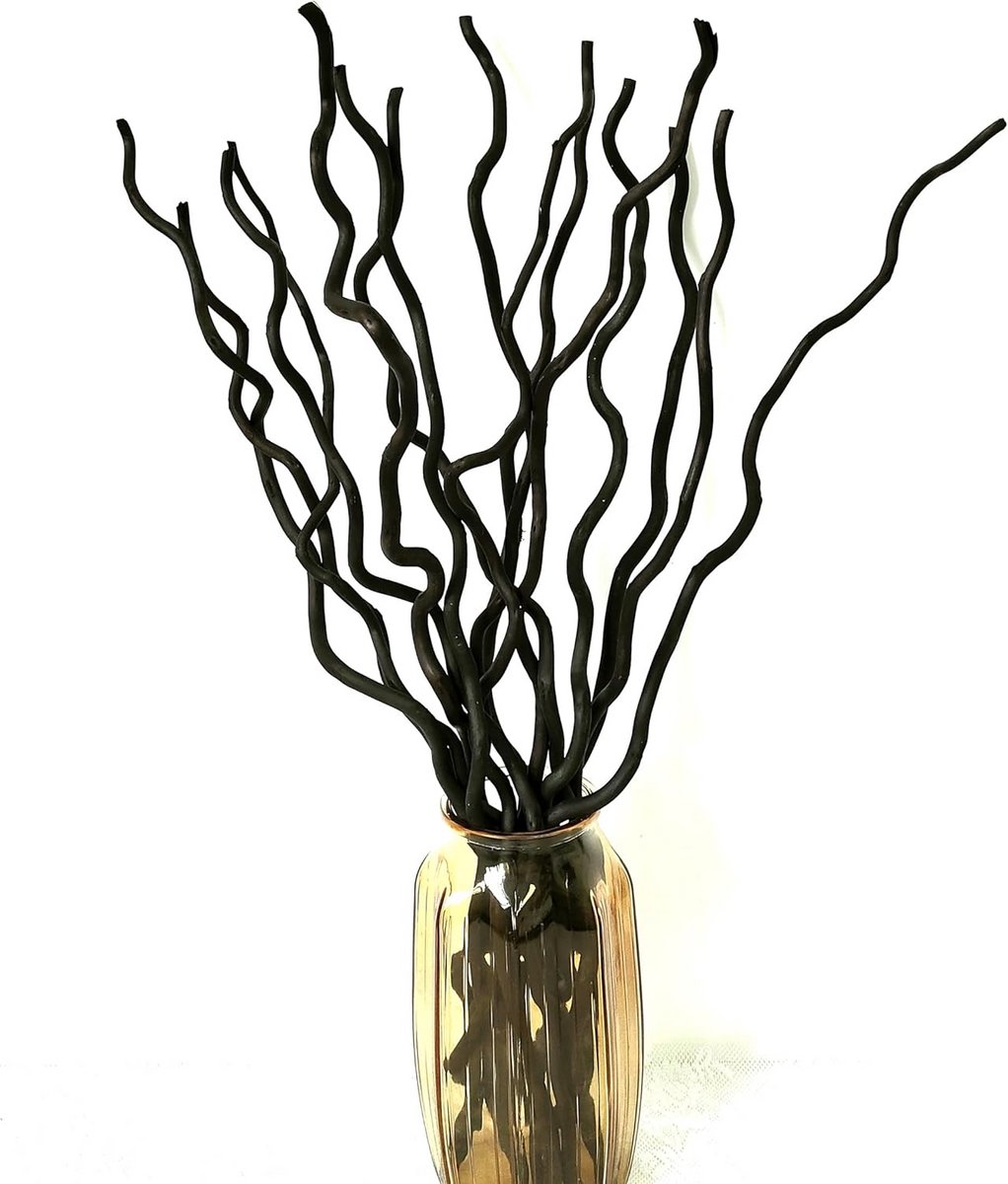 15 Stuks Gedroogde Wilgentakken 58,4 cm - Natuurlijke Decoratie voor Vazen, Bruiloft en Woondecoratie