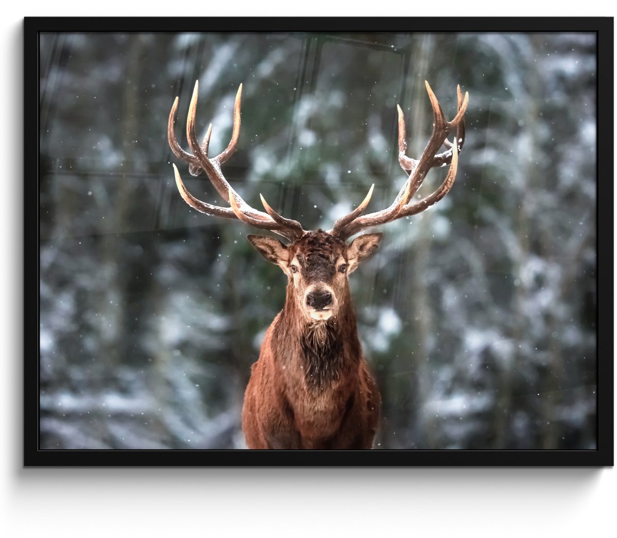 FrameYourWall Poster in lijst - Fotolijst 70x50 cm - Posters - Hert - Winter - Sneeuw - Bos - Natuur - Dier - Posterlijst zwart - Decoratie - Wanddecoratie woonkamer - Muurdecoratie slaapkamer