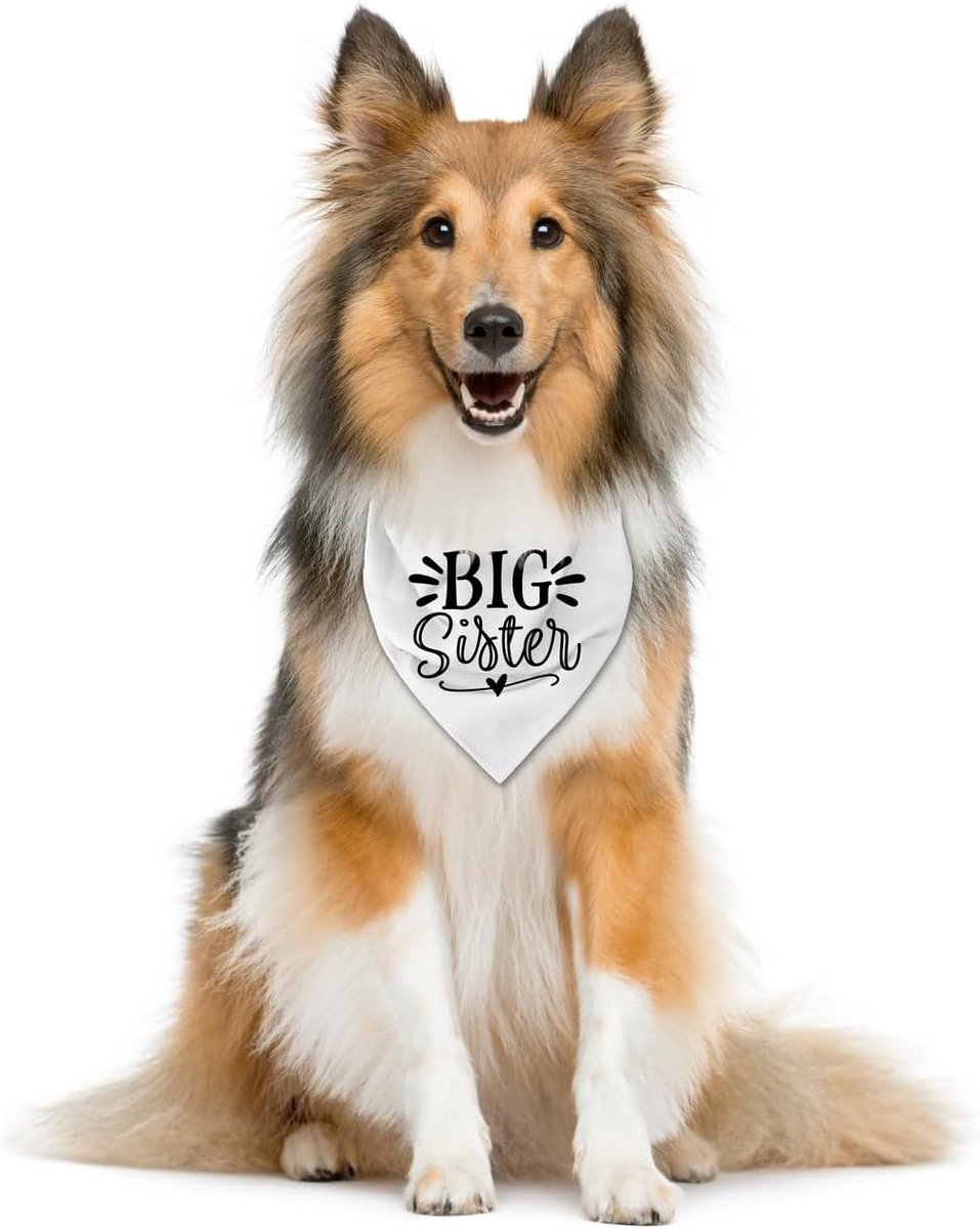 Hond Bandana 'Grote Zus' - Witte Driehoekssjaal voor Honden & Puppy's