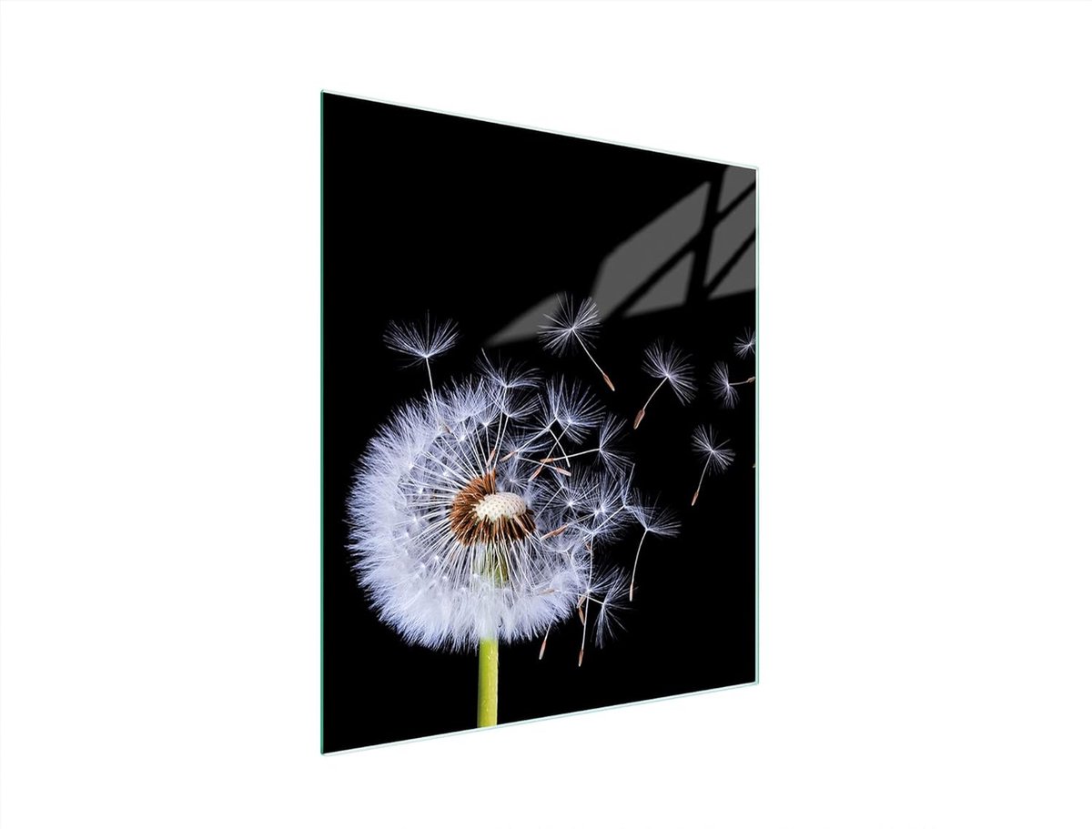 Universele Afdekplaat voor Kookplaat (45x52 cm) - Glas, Spatbescherming en Design Snijplank