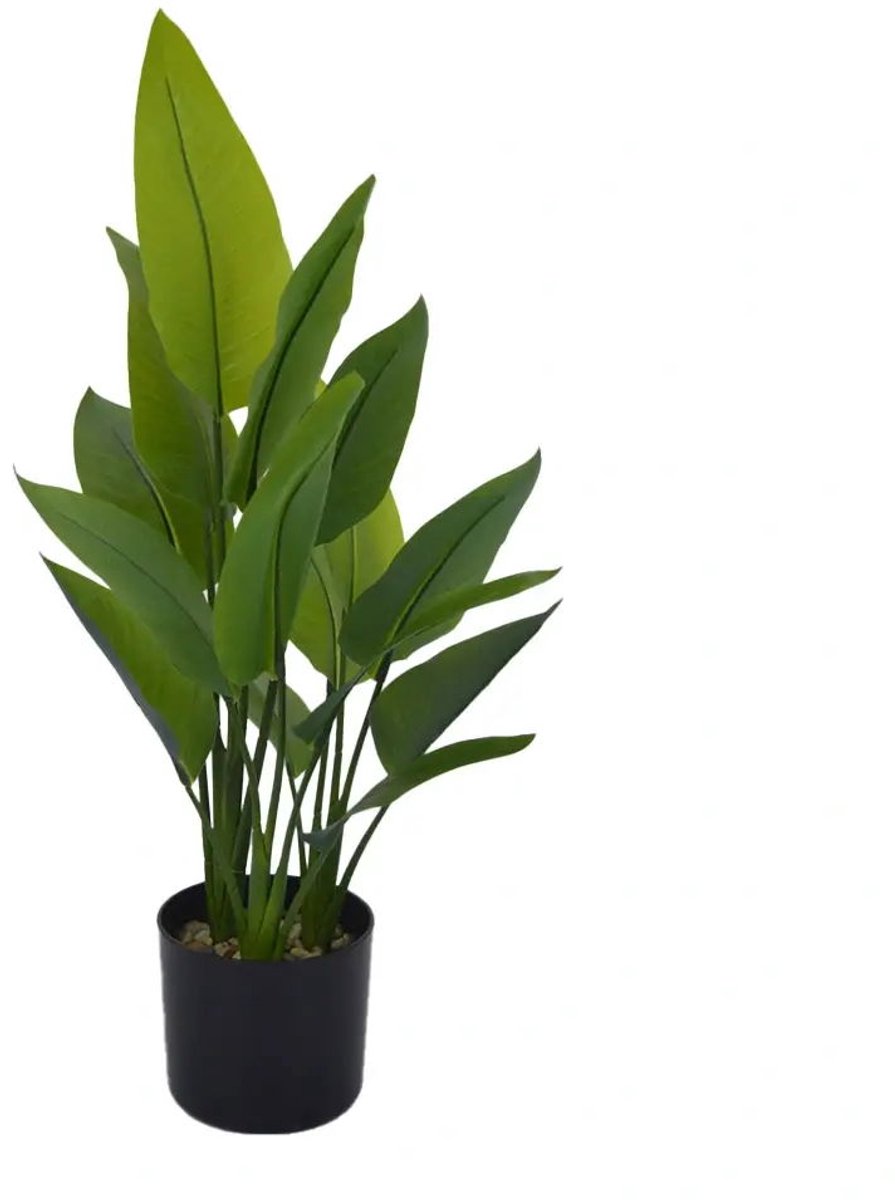 Buitengewoon Boet Buitengewoon de boet - Strelitzia 70 cm kunstplant groen