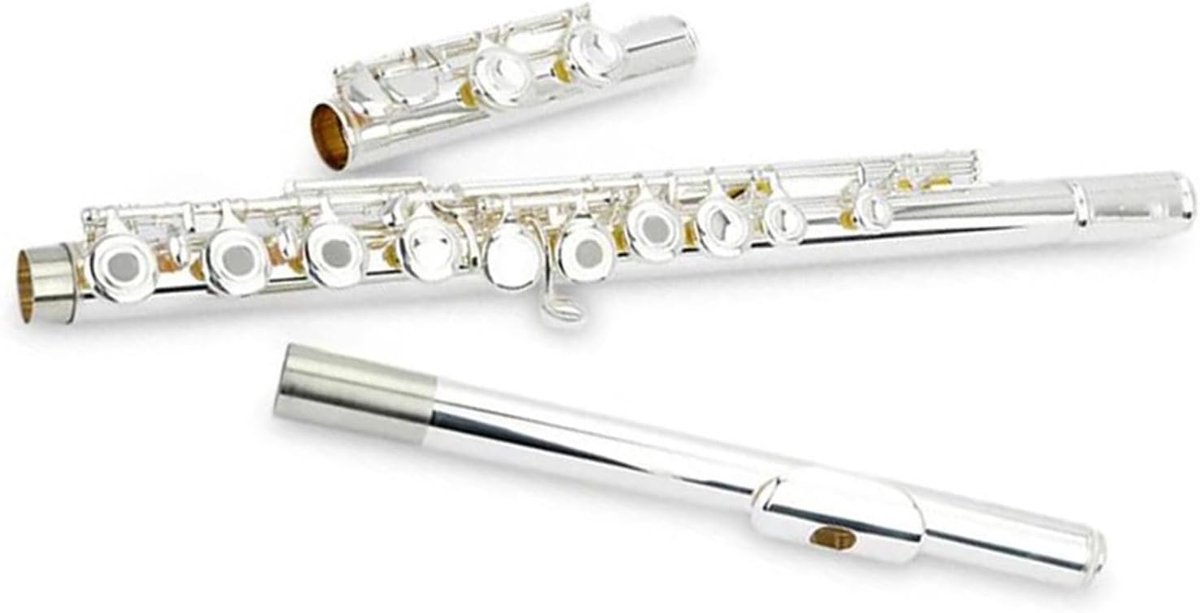 Dwarsfluit Instrument - Open Gat Fluit - Muziek Leren - 16 Open Gaten - One Size - Verzilverd
