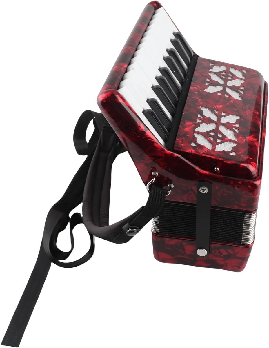 Accordeon - Muziekinstrument - Muziek Leren - Ergonomisch Ontwerp - 22 Toetsen 8 Bas