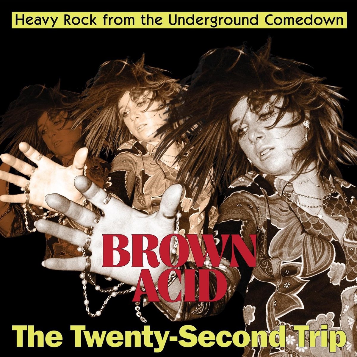 Various Artists - Brown Acid: The Twenty-Second Trip (CD)