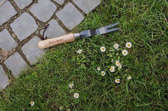 Handmatig Uitleggereedschap voor Madeliefjes en Kort Geworteld Onkruid van Merkloos	 — afbeelding 2