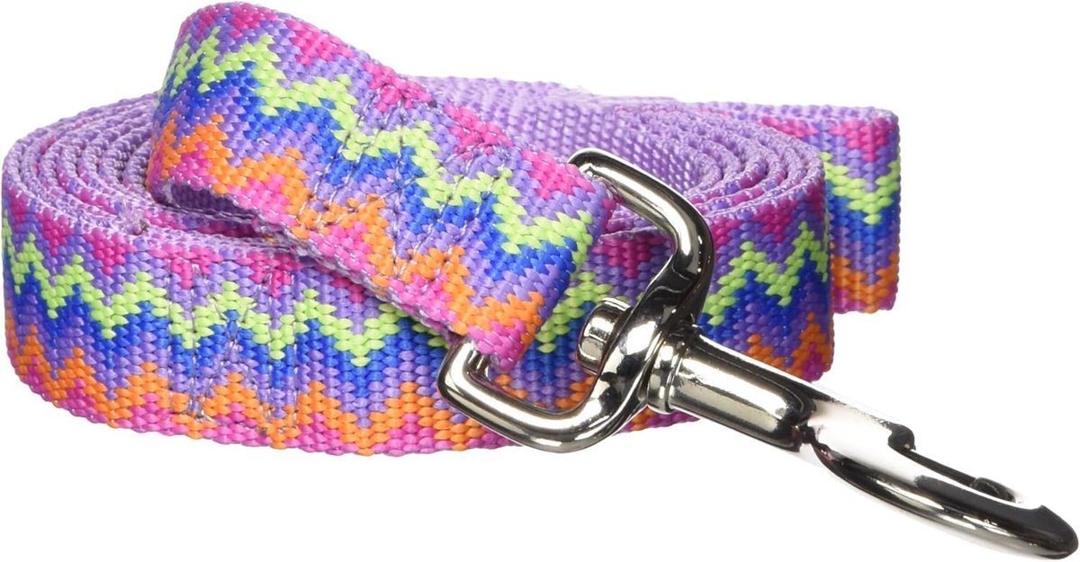 Hondenriem Nylon - Hondenlijn Wandelen - Veilig Uitlaten - Verstelbare Lus - 3.8cm Breed - Lavendel