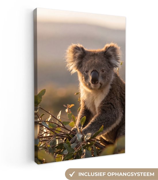 Canvas schilderij 80x120 cm - Exclusieve wanddecoratie Koala - Bladeren - Ochtendlicht - Muurdecoratie woonkamer - Slaapkamer decoratie - Kamer accessoires - Schilderijen op canvas