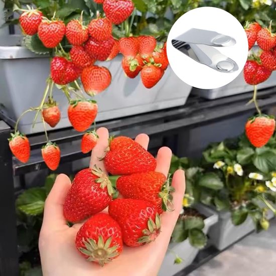 Aardbeien Ontkroner - Vruchten Steeltjes Verwijderaar - Moeiteloos Fruit Voorbereiden - Roestvrij Staal - 4 Stuks - Zilver — afbeelding 2