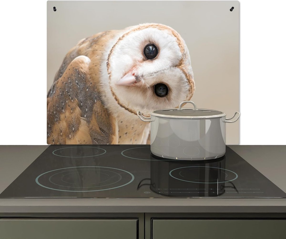 Keuken Spatwand - Achterwand Beschermer - Kookplaat Reinigen - Hittebestendig Vinyl - 59x77 cm - Beige Uil