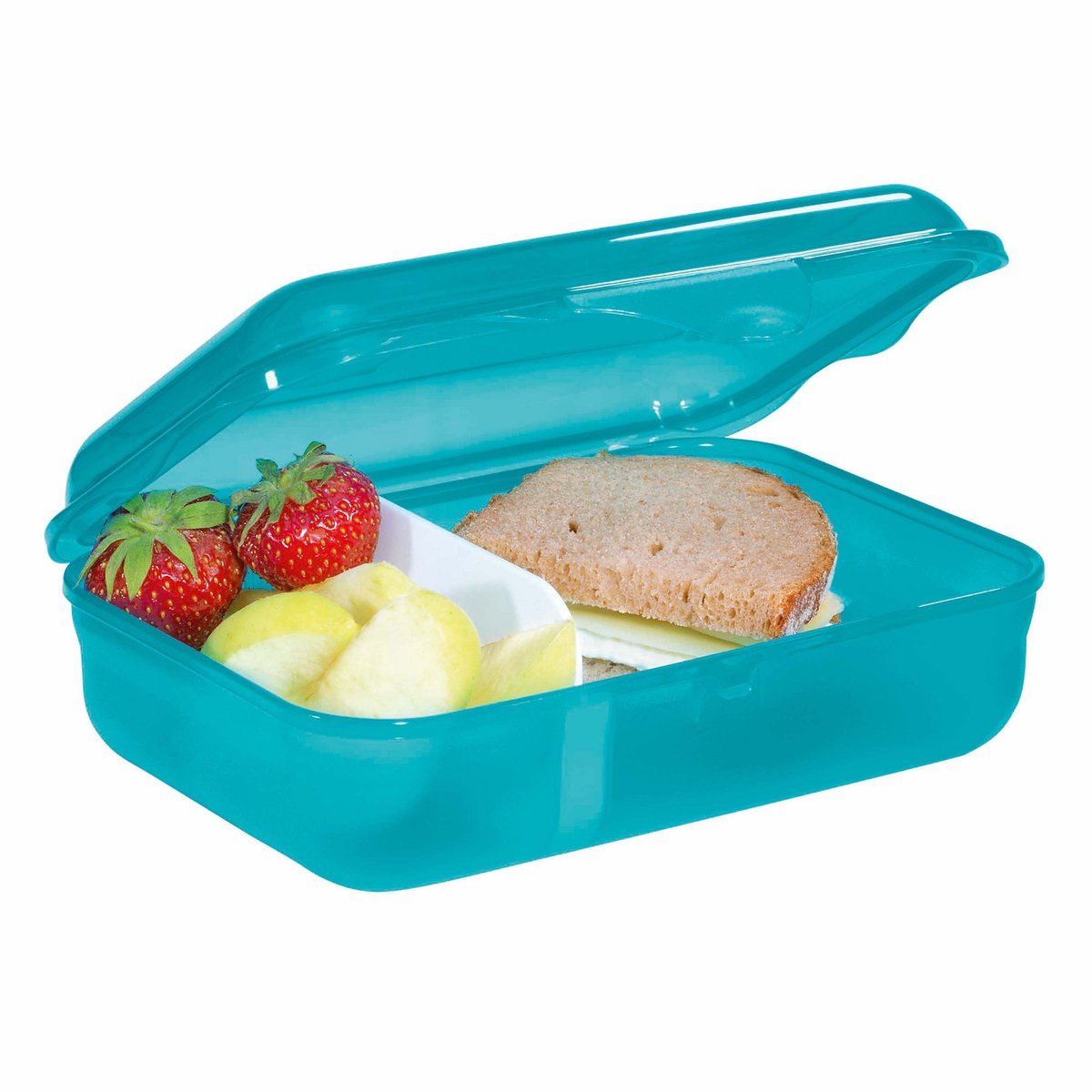 Lunchbox Step by Step Dog Basty turquoise
