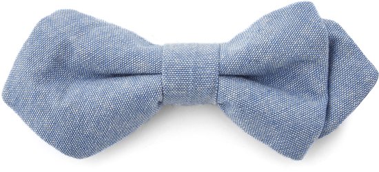 Noeud papillon bleu pastel en pointes