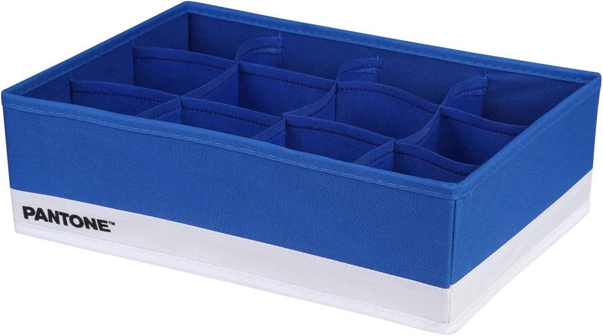 Opvouwbare Kast Organizer met 12 Vakken voor Kleding en Accessoires