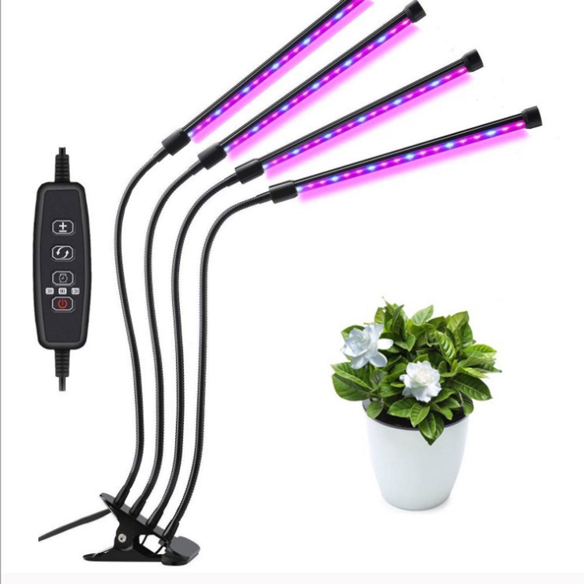Groeilamp, volspectrum groeilamp Groeilamp Groeilamp met 3 timers, meerkleurig
