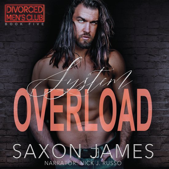 System Overload - cover