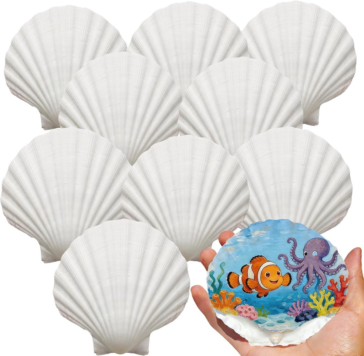 Grote Schelpen - Natuurlijke Decoratie - Ambachten Schilderen - Handgeplukt en Gereinigd - 10-15 cm - Wit