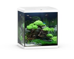 Juwel Aquarium Vio Cube 54 41x36x47 cm - Aquaria - Wit Ca. 54 L