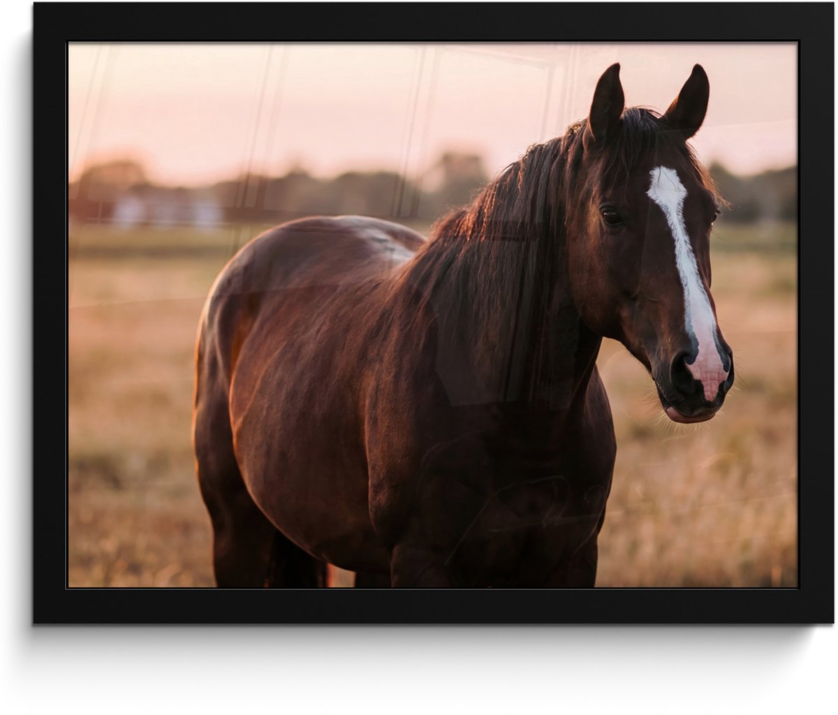 FrameYourWall Poster in lijst - Fotolijst 40x30 cm - Posters - Paard - Zonsondergang - Bruin - Posterlijst zwart - Decoratie - Wanddecoratie woonkamer - Muurdecoratie slaapkamer Multicolor