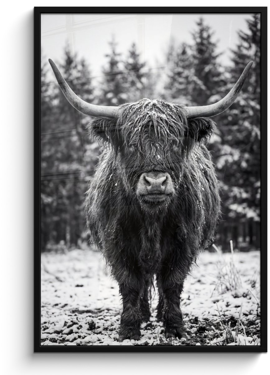 FrameYourWall Poster in lijst - Fotolijst 80x120 cm - Posters - Schotse hooglander - Zwart - Wit - Sneeuwvlokken - Posterlijst zwart - Decoratie - Wanddecoratie woonkamer - Muurdecoratie slaapkamer
