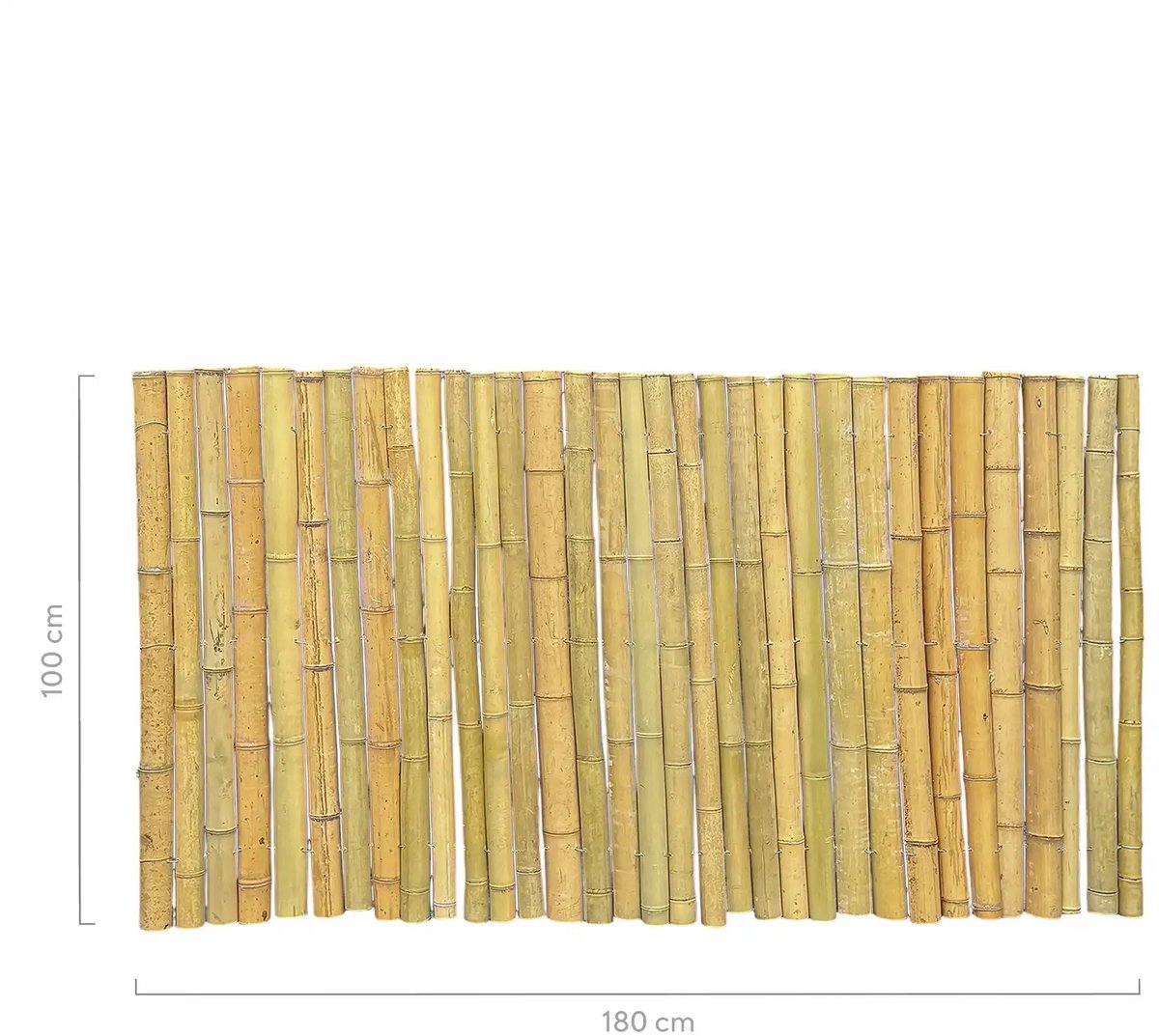Masters of Bamboo® Bamboemat Halfrond - 180 x 100 cm - Naturel - Bamboe schutting op rol - Bamboe mat - Balkonscherm