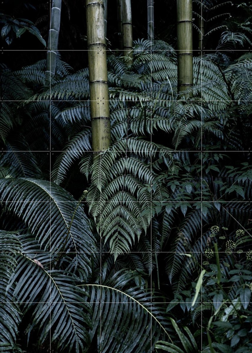 IXXI Bamboo Bush, Photolovers - 100 x 140 cm - Gratis ophangtool - Grote wanddecoratie en posters - Realisme, Naturalisme, Minimalisme, Fotografie
