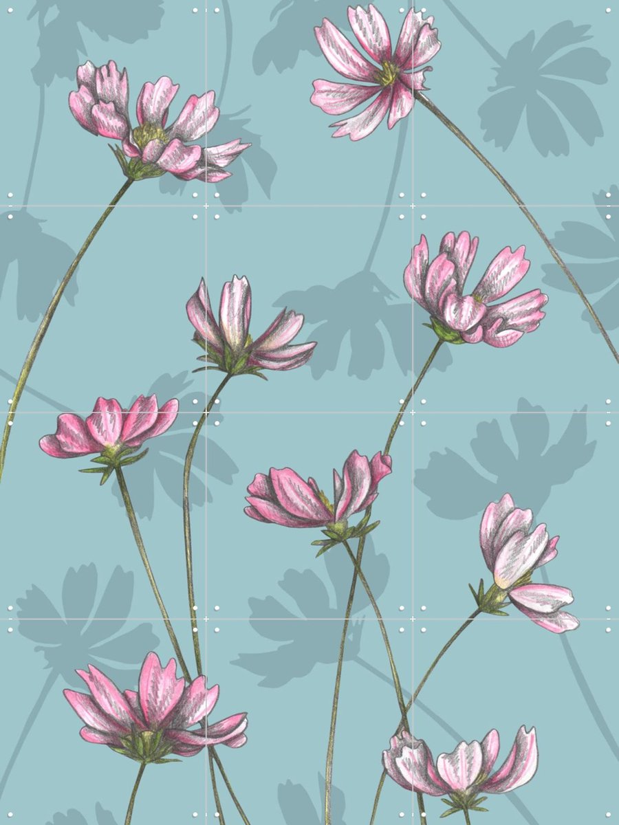 IXXI Cosmos, Cecilia Battaini - 60 x 80 cm - Gratis ophangtool - Grote wanddecoratie en posters - Naturalisme, Illustraties, Eetkamer, Slaapkamer