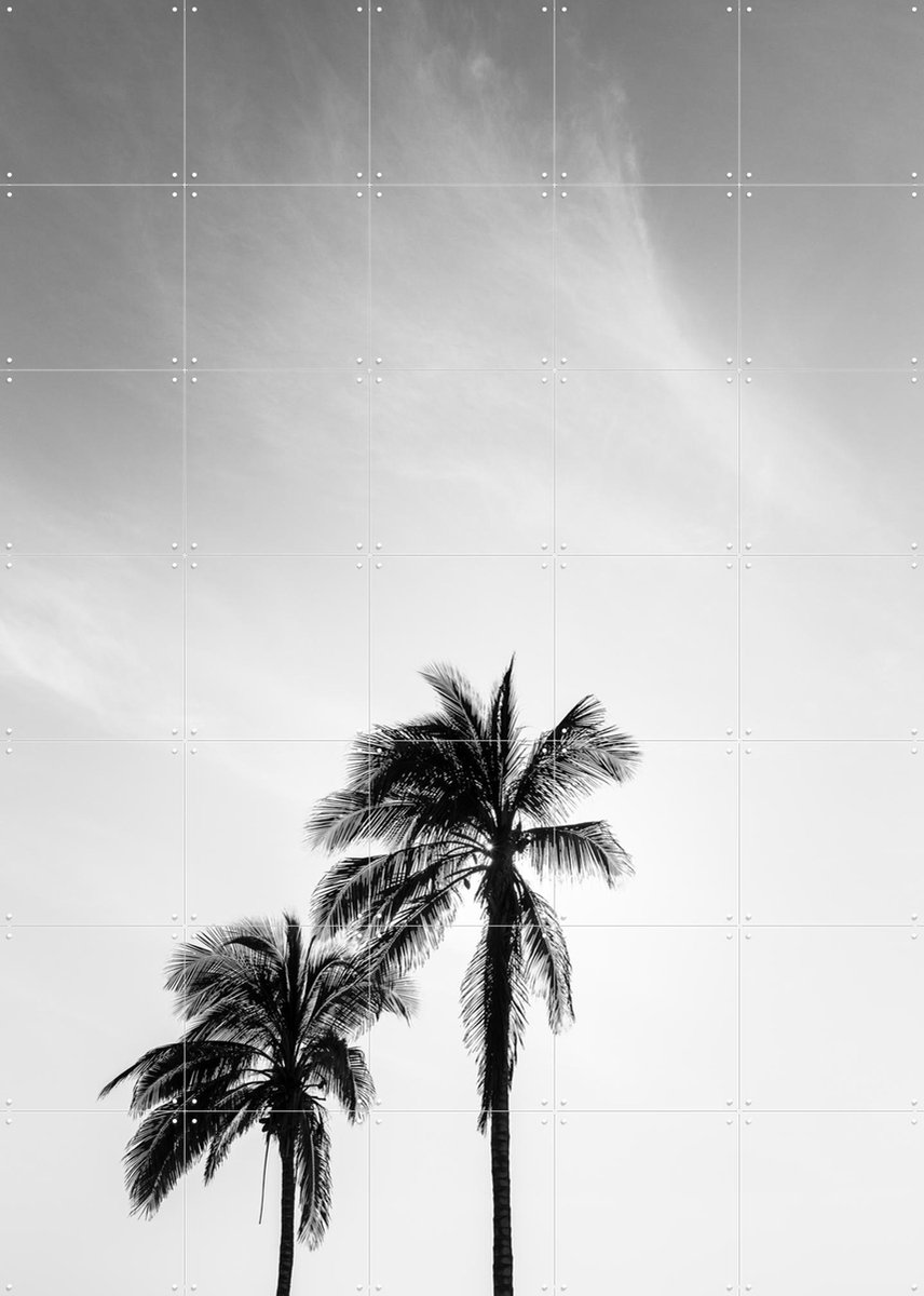 IXXI Palms In The Middle East, Photolovers - 100 x 140 cm - Gratis ophangtool - Grote wanddecoratie en posters - Naturalisme, Minimalisme, Abstract